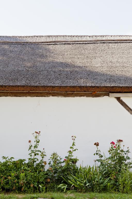 Apartament Bio Archehof - Zur Grube Podersdorf am See Zewnętrze zdjęcie